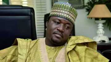 You are misleading Kaduna people and we won’t allow that - AYCF blasts Othman Hunkuyi