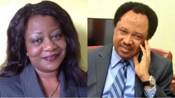 Buhari's aide attacks Shehu Sani, describes senator as APC disappointment