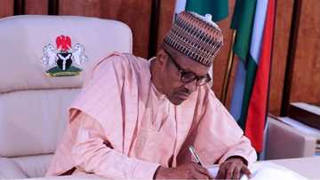Breaking: Buhari to sign 2018 budget next week - Adesina
