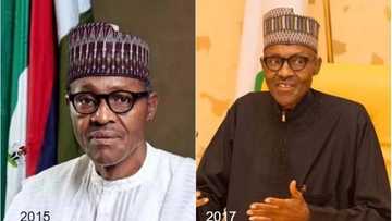 Alarming reporting claiming President Buhari is allegedly so sick he cannot eat or drink is NOT TRUE - Presidency