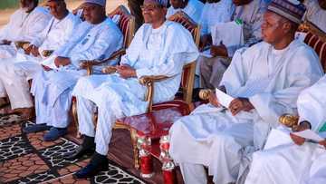 As APC elects ward executives, President Buhari passes message to party officers