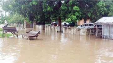 Mumunar ambaliyar ruwa ta lalata sama da gidaje 50 a Kebbi, mutane da dama sun tagayyara