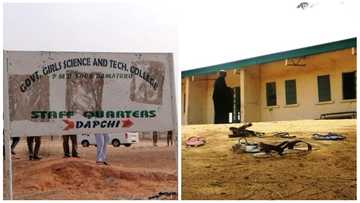 Da dumin sa: An gano inda rabin 'yan matan makarantar Dapchi da aka sace suke