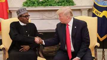 Why Buhari didn’t discuss ‘shithole’ comment with me - Trump