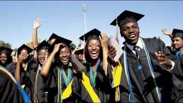 List of universities offering Nutrition and Dietetics in Nigeria