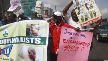 Opinion: Freedom of protests and refusal to be intimidated are profound feats of 2019