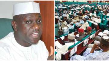 Impeachment threat: APC lawmaker taunts colleagues, says they can't tolerate constitutional ventilation
