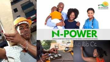 New information released for N-Power Health, N-Power Tax, N-Power Agro