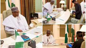 See President Buhari receiving briefing from Osinbajo as he resumes work (photos)