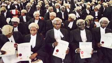 4 admission requirements to study law in Nigerian universities