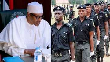 Just in: President Buhari orders immediate employment of 6,000 policemen, reacts to call on state policing