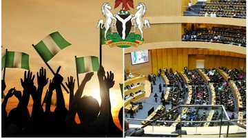 Basic ideas of ⚑1999 Nigerian Constitution