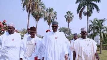 APC crisis requires president’s personal intervention ahead of 2019 elections - Pro-Buhari group