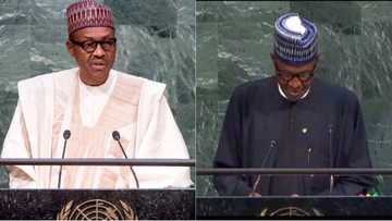 6 key differences between Buhari's real UN talk and fake one being circulated