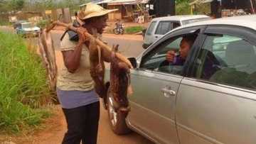 Saboda tsoron Ebola, kabilu da yawa sun daina cin namun daji na mafarauta, watau bushmeat