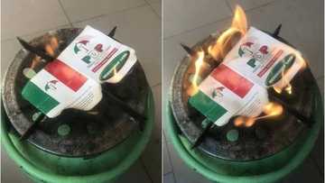 Canja dan takarar gwamnan a Kano: Masoya Kwankwaso sun fara kona katinansu na PDP, hotuna