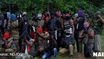 Buhari agrees to free Nnamdi Kanu, others as part of deal on Niger Delta - MEND