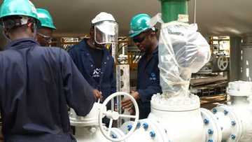 Chemical industries in Nigeria