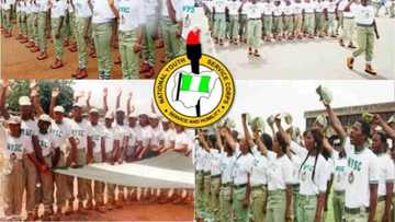 How to print NYSC Certificate of Exemption in 2018?