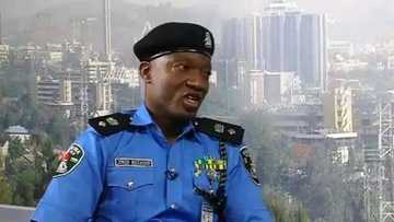 Police reveal why they deployed 30,000 personnel for Ekiti election