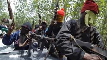 Breaking News: Militants blow another NPDC facility, launch Operation Crocodile Tears