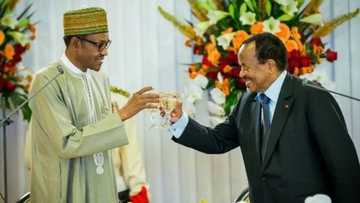 None Of Us Can Succeed Alone – President Buhari
