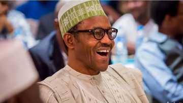 GOOD NEWS: Nigeria finally bounces out of recession - Official report confirms