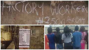 Investigation report: Inside the thriving business of job scam in Nigeria (photos, video)