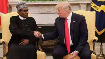 I didn't sign any agreement with Donald Trump, we just had a discussion - Buhari