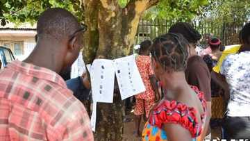 Ekiti guber: Group raises concerns over Continuous Voters Exercise