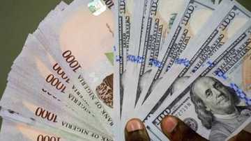 Naira ta samu tagomashi a kan Dala da Yuro