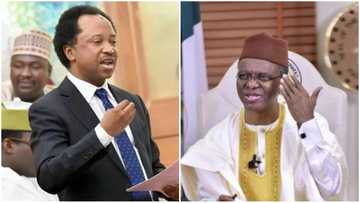 Shehu Sani reveals the only reason why he may not contest against El-Rufai in 2019