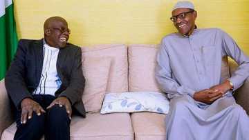 Alpha Beta: Babban Jigon PDP ya roki Jami’an EFCC su yi maza, su yi ram da Tinubu