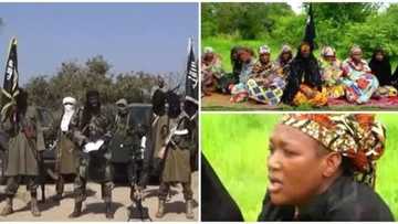 Rescue us like you rescued Chibok girls - 10 women abducted by Boko Haram beg FG (photos, video)