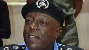 Police apprehend suspected burglar of Senator Nwaoboshi's residence