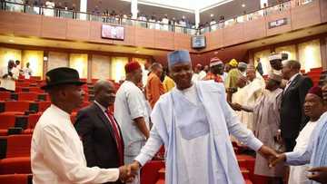 Group condemns attempts by police to embarrass Saraki over Offa robbery