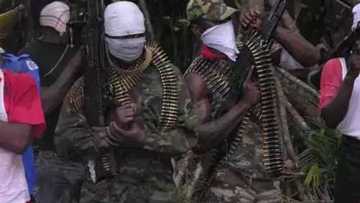 JUST IN: Militants strike again, abduct 4 Niger Delta leaders