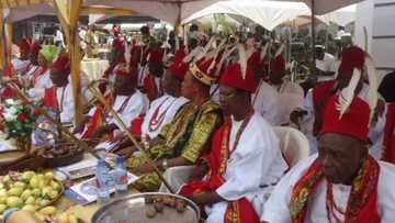 Igbo indigenes in the north raise alarm, say some Ohanaeze Ndigbo members want them to be massacred