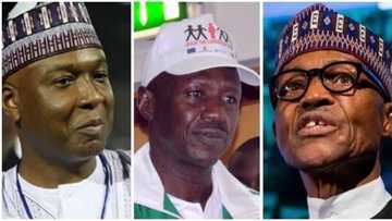 EFCC chair: Buhari to overrule DSS report and stick with Magu