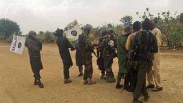 Rashin tausayi: Boko Haram sunyi wa mutane 7 yankan rago a kan neman itace