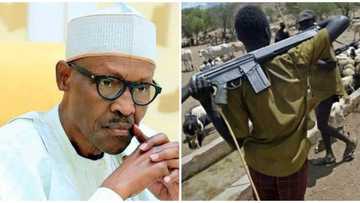 Benue killings: SERAP tackles Buhari, calls for justice and establishment of trust fund for victims of herdsmen attacks