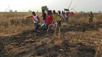 Dubun barayin shanu 195 a Najeriya ta cika