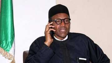 Abinda shugaba Buhari ya tattauna da sakataren kasar Amurka a hirar wayar tarho - Garba Shehu