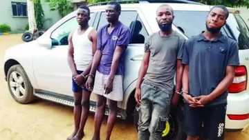 Rundunar Yansandan jahar Kano ta tarwatsa wasu gungun yan fashi da suka gagara