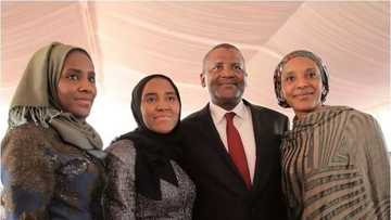 Biki wan shagali: Shugabannin kasashe 5 za su halarci bikin diyar Dangote, Fatima