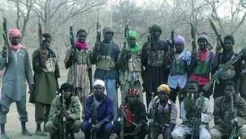 Boko Haram attacks Borno again, scores feared killed