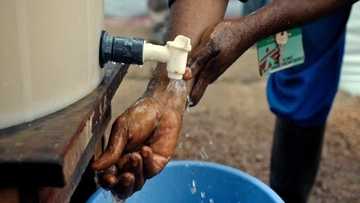 Magungunan Gargajiya masu maganin cutar Amai da Gudawa, wato Kwalara