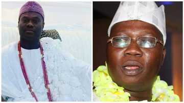 OPC: I didn't order Gani Adams to resign - Ooni of Ife