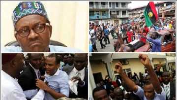 Reno Omokri reveals the difference between Nnamdi Kanu and President Buhari