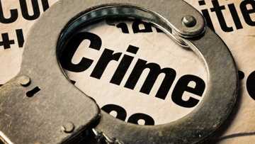 What are the most common crimes in Nigeria?